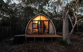 Eco Luxury - Heated - Hot Tub - Waterfront - Freycinet